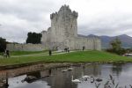PICTURES/Killarney National Park - Ross Castle & Lough Leane/t_DSC00164.JPG